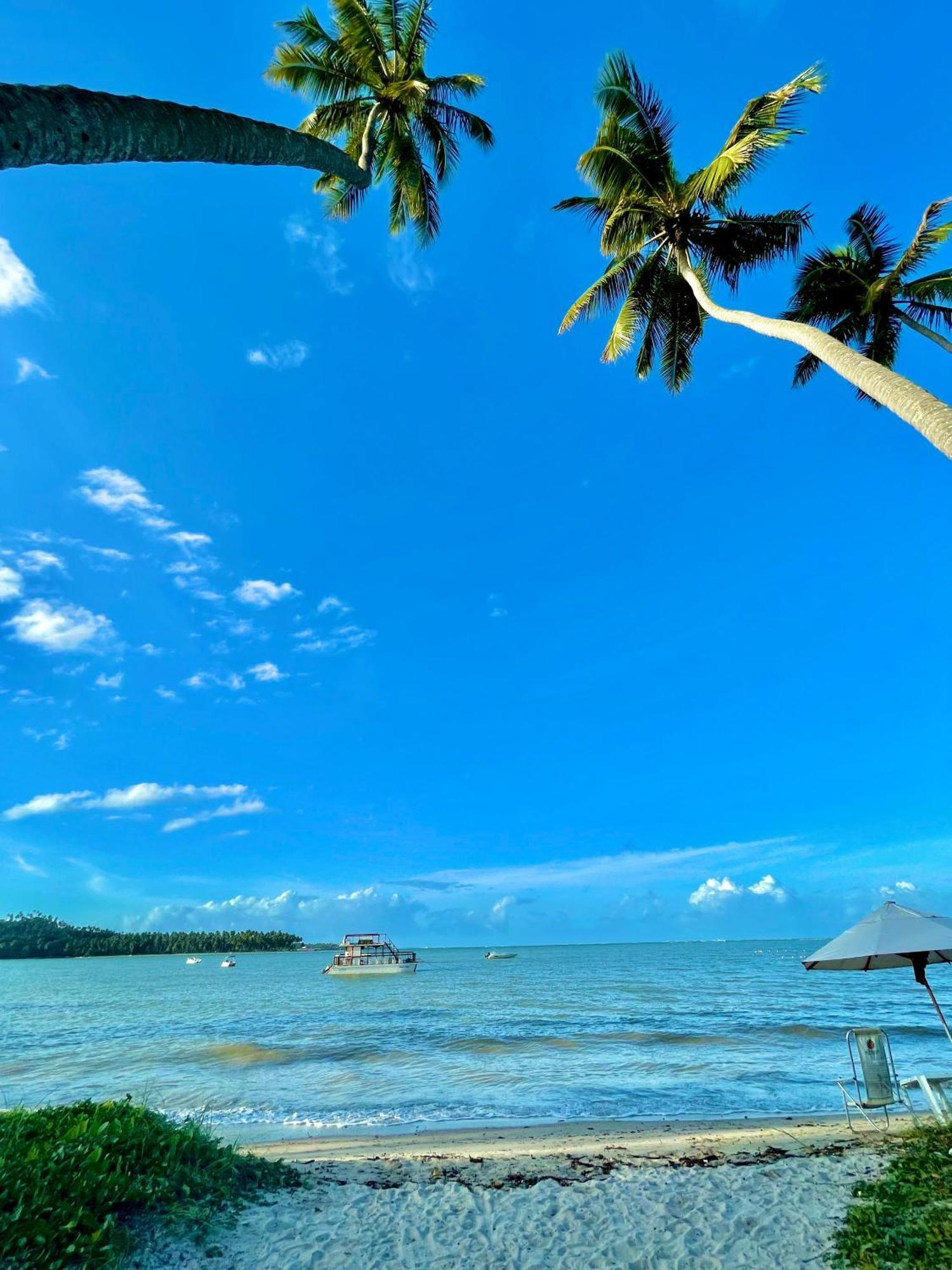 Flat Eco Dos Carneiros 公寓 Praia dos Carneiros